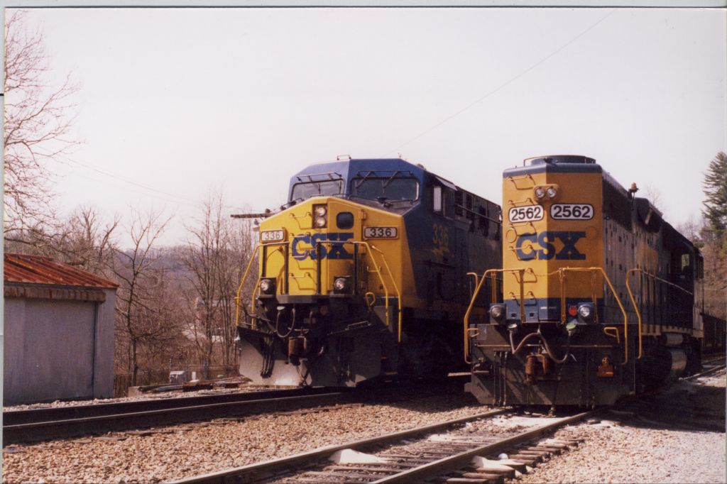 I am bigger than you are!!